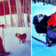 Illustration for article titled Lewis Hamilton Ski Trip Results In Dumbest Fake Controversy Ever